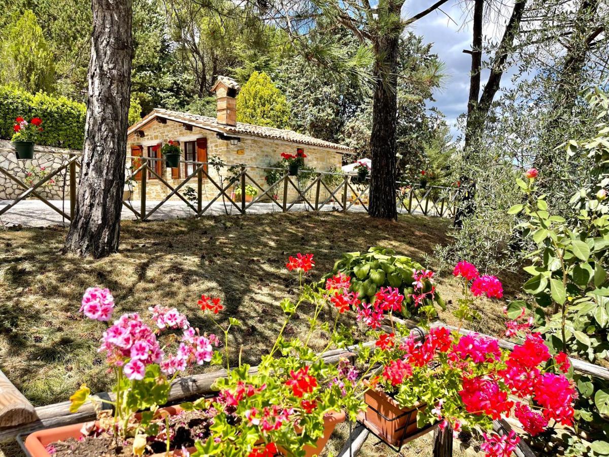La Panoramica Gubbio - Maison De Charme - Casette E Appartamenti Self Catering Per Vacanze Meravigliose! Exteriör bild